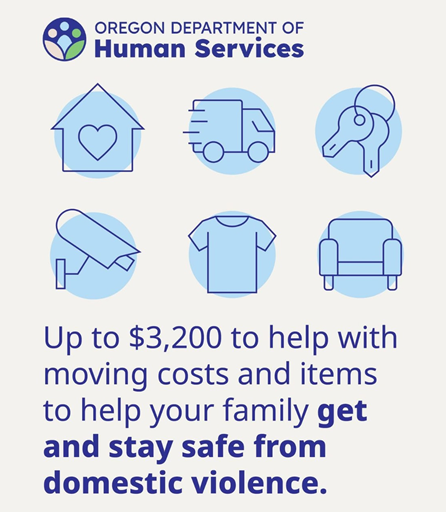 icons showing home, truck, keys, security camera, tshirt and chair: things to help families stay safe from domestic violence