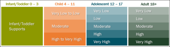 The Fourteen Service Groups. Infants/Toddlers from age 0-3, Children from age 4-11, Adolescents from age 12-17 and Adults from age 18+