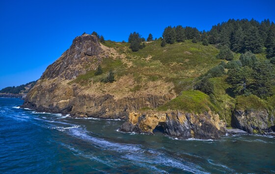 Cape Foulweather - Photo Credit: Steve Smith Photography