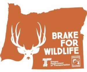 Brake for wildlife