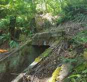 Bad Banks Culvert