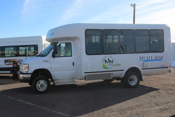 Harney buses