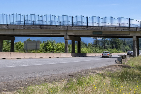 The existing Forest Lane Bridge over I-84 when looking east.