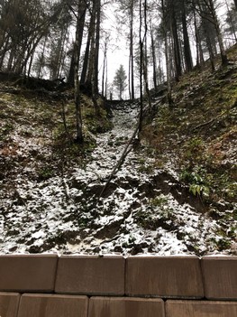 A debris chute on the slope. 