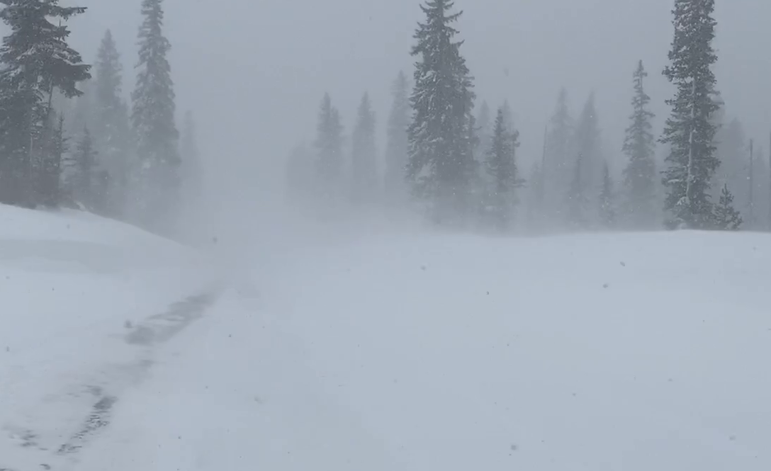 OR 204 (Tollgate Hwy.) during Feb. 26, 2021 snow storm 