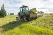 Mowing along I-5