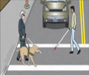 Two pedestrians crossing in a crosswalk - one person with a red tipped white cane and a second person with a white cane and a guide dog.