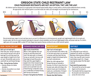 Child car seat flyer thumbnail