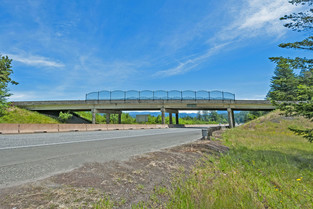 A concrete overpass with metal screening above. 