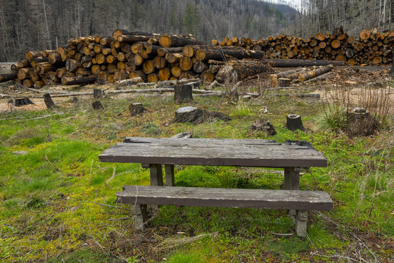 Labor Day wildfire damage along OR 224