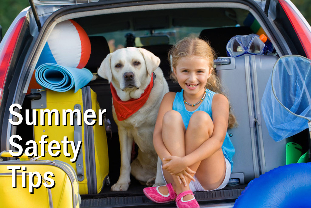 Summer safety tips. Girl in vehicle with dog, beachball, luggage