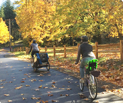 Two people riding bikes on a bike path during the fall with bright yellow leaves