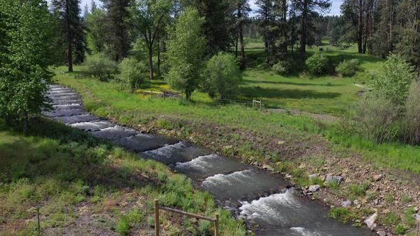 Whiskey Creek with weirs to create natural fish ladder