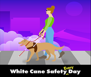 Woman walking on sidewalk with cane and guide dog