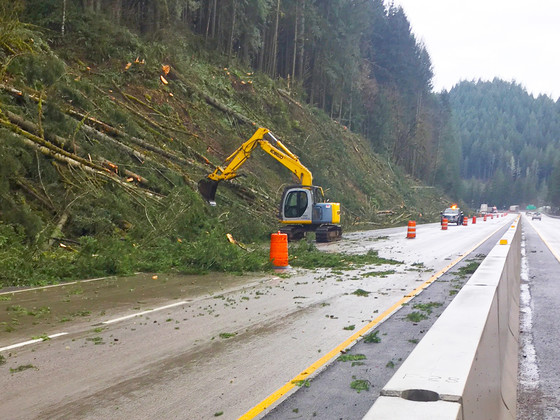 I-5 hazard tree removal project near Canyonville