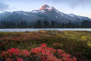 mount-jefferson-with-red-flowers-in-front