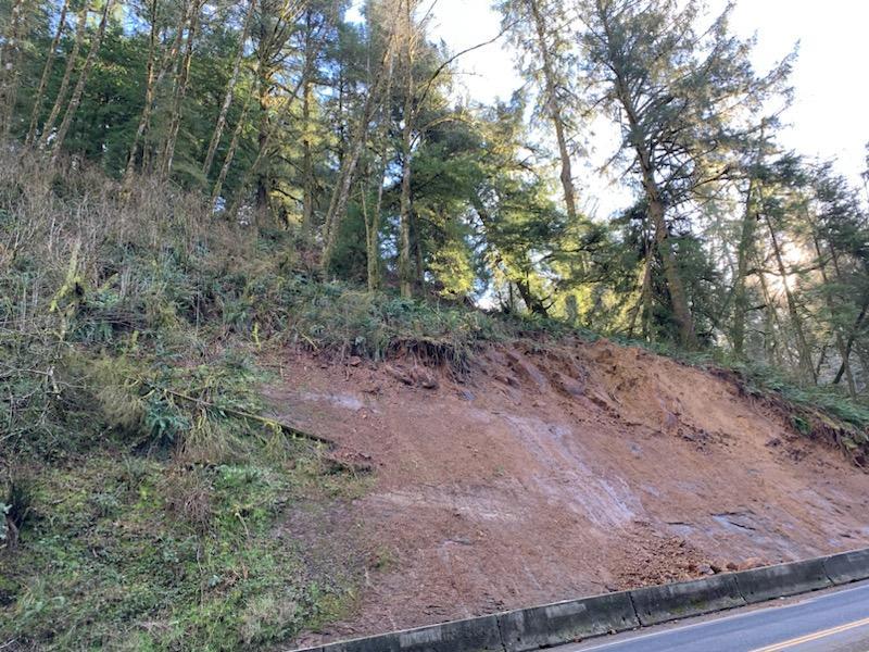 Unstable trees at the top of the slide will be removed next week.