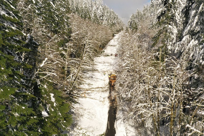 The storm damaged trees along U.S 101 and other highways.