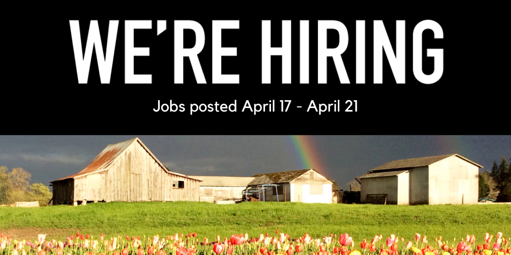 Photo of a wood barn and two outbuildings with grey skies, rainbow in the background and green grass and tulips. 