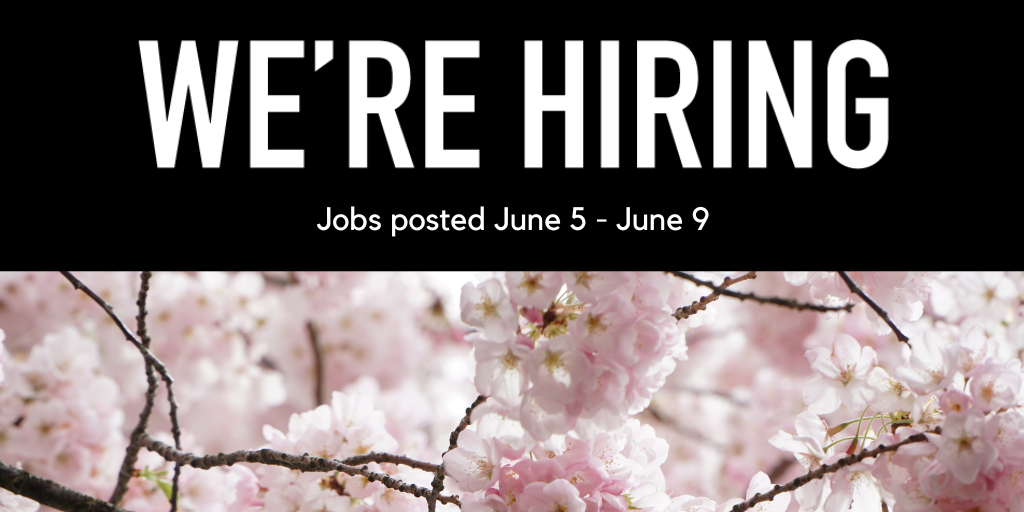 Close up photo of cherry blossoms.