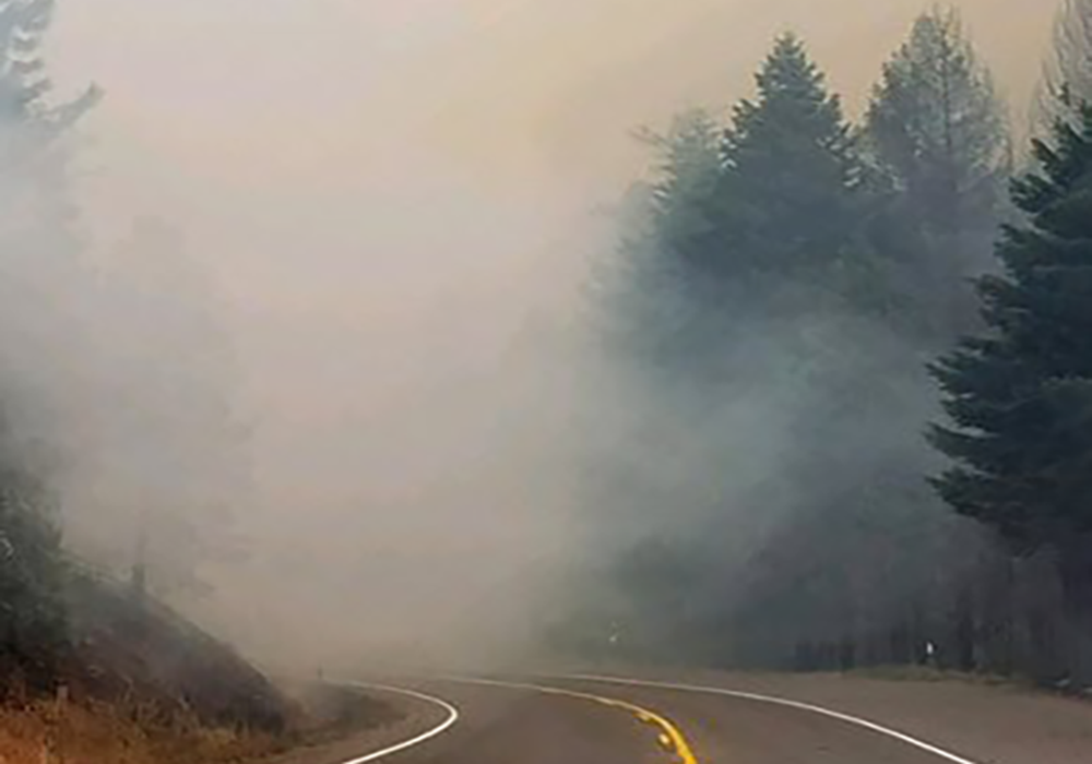 Smoke filled highway with trees in the background.