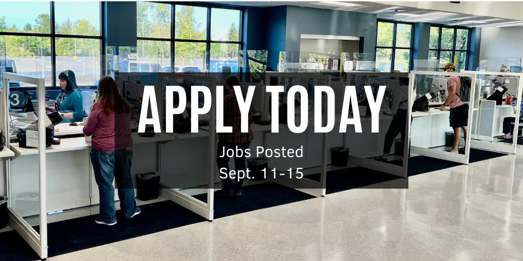 Photo of counters inside of a DMV field office, with Transportation Services Representatives assisting customers. 