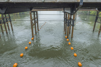 View under the NW Van Buren bridge showing the river access route
