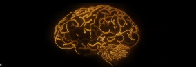 Brain graphic screenshot from video