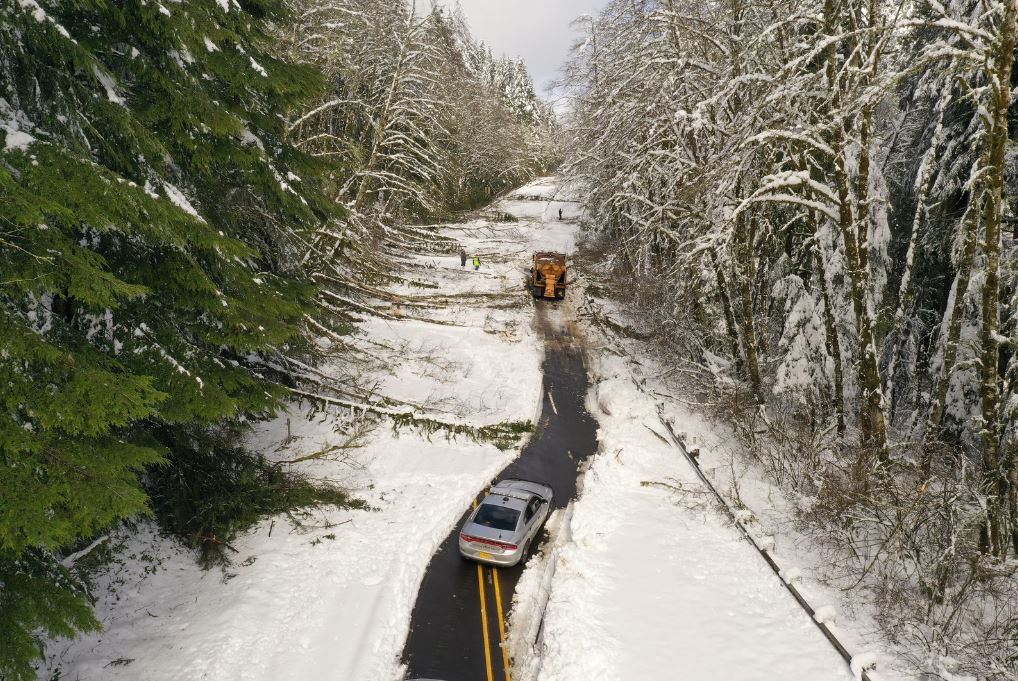 Heavy snow and wind downed many trees and closed this coastal highway last winter. 