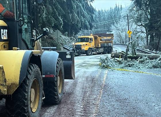 Crews working hard cleaning up downed trees on U.S. 20 east of Sweet Home. 
