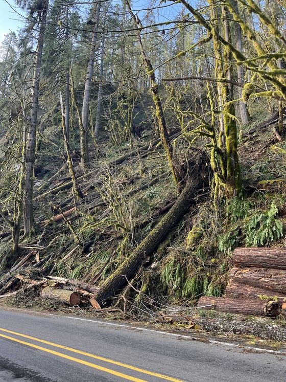 OR 36 winter storm clean up