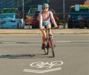 Bicyclist riding on a road with the sharrow symbol painted on the roadway