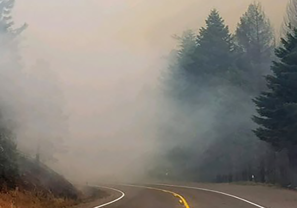 Smoky forested highway