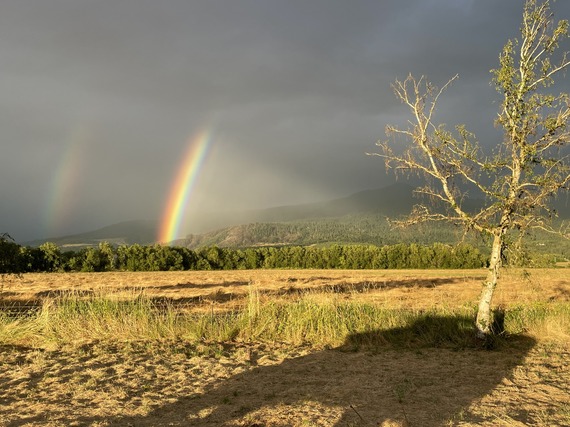 Photo of rainbow at Halsey work zone
