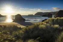 View of beach in Gold Beach, Oregon  