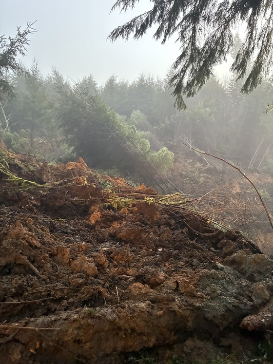Landslide closes OR 229 between Kernville and Siletz. 