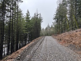 Clearing work for the State Trail 