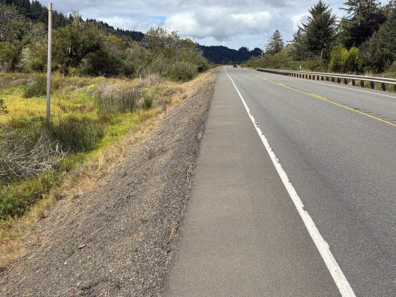 Oregon 38 at Hinsdale Slough