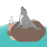 Cartoon showing a sea lion on a rock with a seagull 