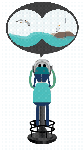 Viewfinder gif showing a person looking at the ocean wildlife transitioning to a construction work zone