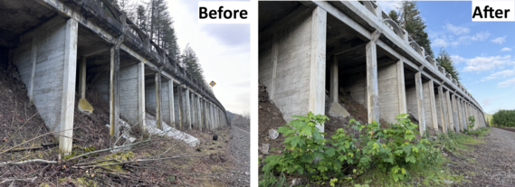 East viaduct before and after