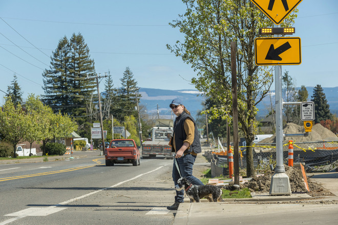 A person with a dog waits at a crosswalk next to a rapid flashing pedestrian crossing sign. 