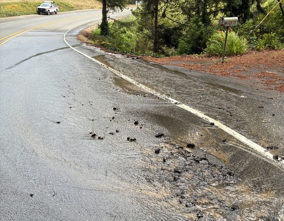 Damaged pavement from broken water main