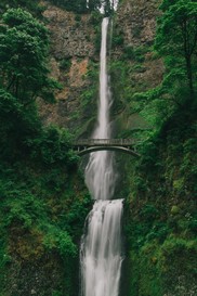 Bridge with Multnomah Falls flowing under it, shot from below, green moss on either side