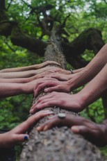 image of hands on tree trunk