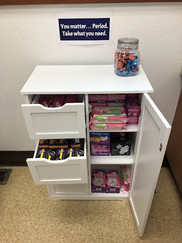 Menstrual product dispenser at Falls City SD