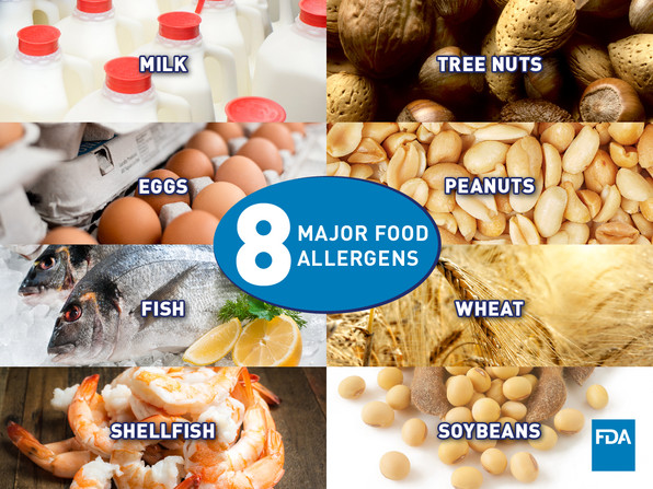 Image of the 8 major food allergens, milk, tree nuts, eggs, peanuts, ish, wheat, shellfish, and soybeans