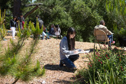 students making observational drawings outside in a garden