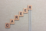Career