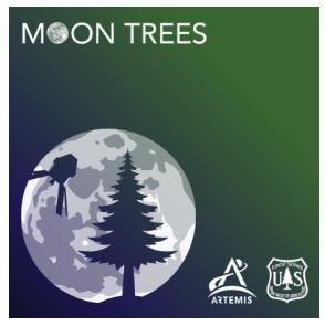 Moon Trees